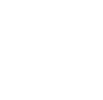 home restoration icon